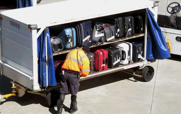 Commercial Airport Baggage Handling Systems Market Revenue Growth and Application Analysis, Evaluating Trends by 2032
