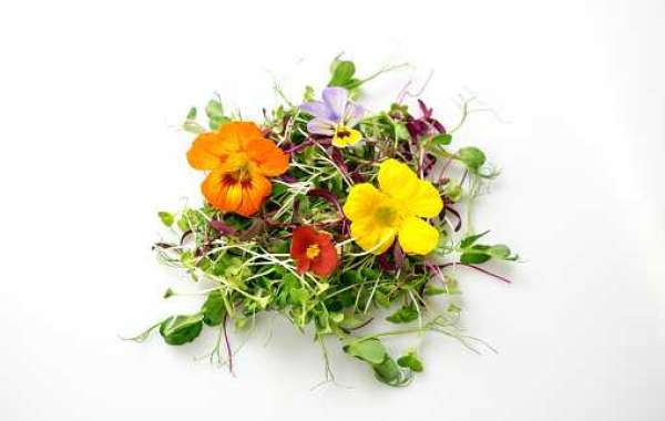 Edible Flowers Market Report by Application, Share, Regional Revenue, Competitor, and Forecast 2032