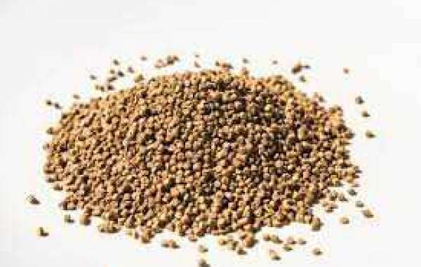 Fishmeal Market Insights: Revenue, Key Players, and Forecast 2030