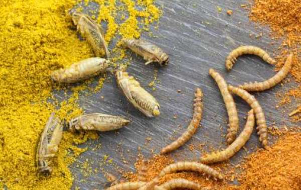 Insect Protein Market Insights, Growth Drivers, Opportunities and Trends, forecast year 2030