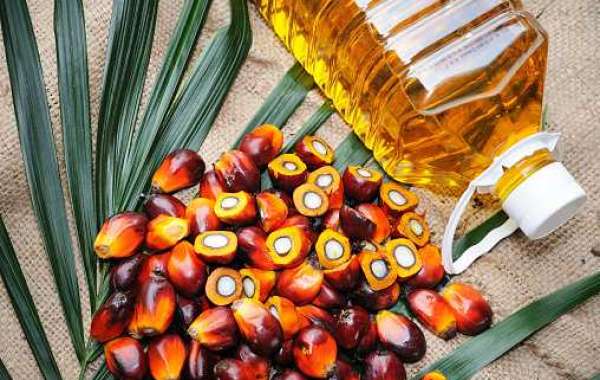Palm Oil Market Research, Gross Ratio, Driven Factors, and Forecast 2030
