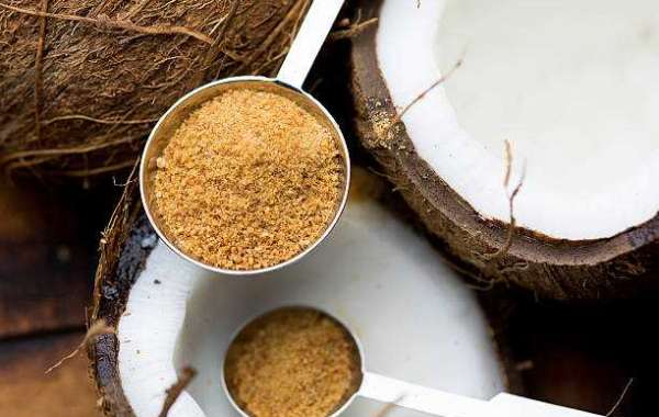 Key Organic Palm Sugar Market Players, Size & Share to See Modest Growth Through 2028