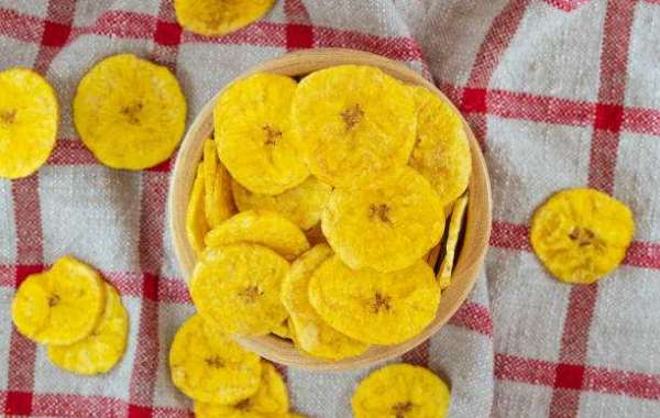 Organic Chips Market Analysis by Top Companies, Growth, and Province Forecast 2030