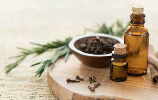 Essential Oil & Aromatherapy Market Insights: Revenue, Key Players, and Forecast 2032
