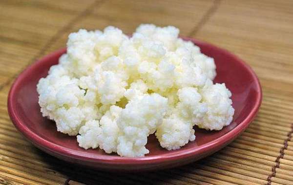 Key Kefir Market Players, Dynamics, Trends, Statistics, Research Methodology and Driving Factors 2032