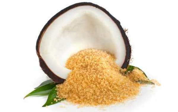 Organic Coconut Sugar Key Market Players by Regional Growth, and Forecast to 2032
