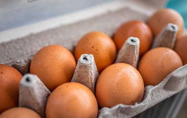 Cage Free Eggs Market Insights: Growth, Key Players, Demand, and Forecast 2030