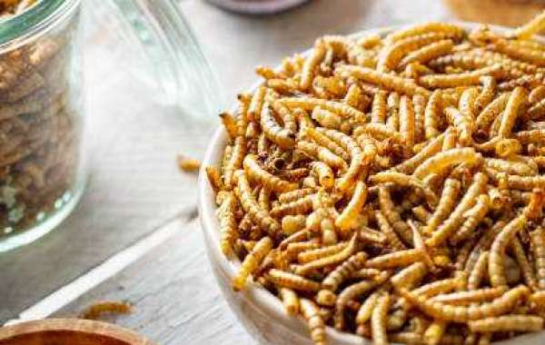 Insect Protein Market Trends including Regional Demand, Key Players, and Forecast 2030