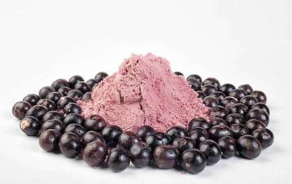 Fruit Powder Market Research with Quality Analysis of Top Companies with Demand and Forecast