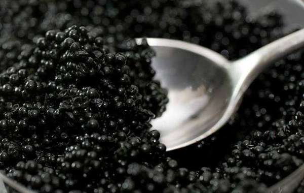 Caviar Market to Experience Significant Growth during the Forecast Period 2030