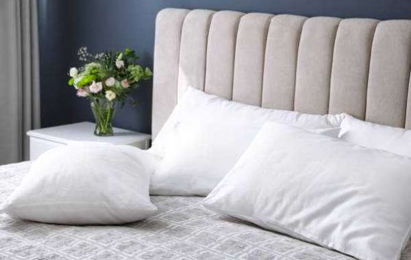 Pillow Market Research Revealing The Growth Rate And Business Opportunities To 2030
