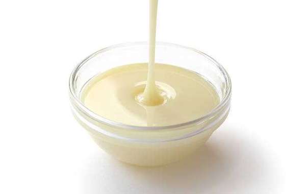 Sweetened Condensed Milk Market Outlook: Competitor, Regional Revenue, and Forecast 2030