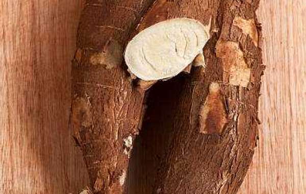 Cassava Key Market Players by Product and Consumption, and Forecast 2032