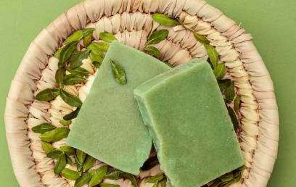 Organic Soaps Market Outlook with Investment, Gross Margin, and Forecast 2027
