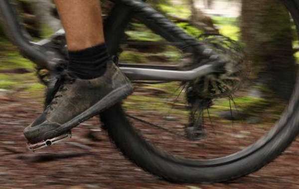 Mountain Bike Footwear and Socks Market Size and Analysis, Trends, Recent Developments, and Forecast Till 2030