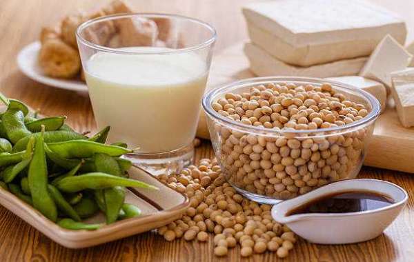Soy Food Market See Remarkable Growth, Share, Trends, Size, Application, Gross Revenue & Key Players Analysis