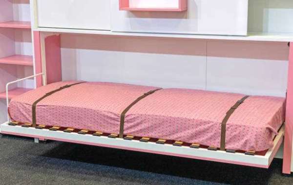 Wall Bed Market Development, Market Share, User-Demand, Industry Size By 2027