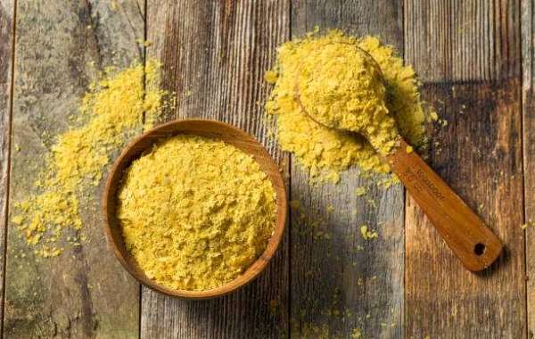 Cheese Powder Market Forecast Will Generate New Growth Opportunities in Upcoming Year