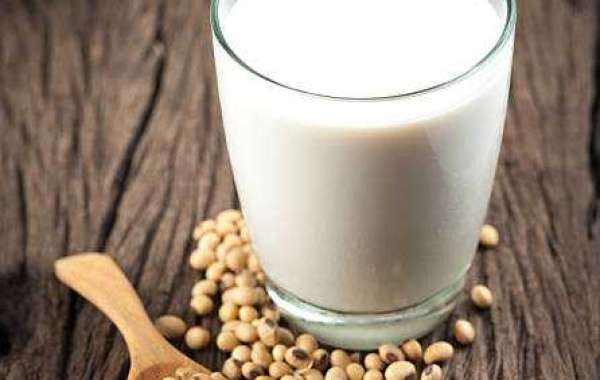 Soy Milk Market Trends, Category by Type, Top Companies, and Forecast 2030