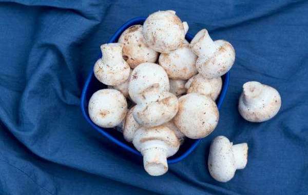 Edible Mushroom Market Report with Regional Growth and Forecast 2030