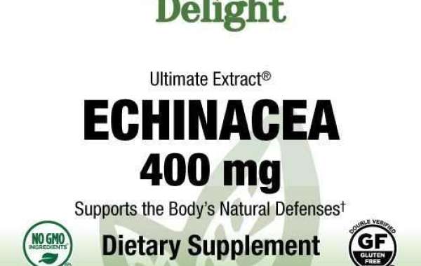 Unlocking the Power of Echinacea 400 mg – 100 Vegan Caps