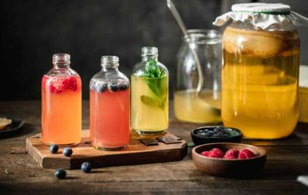 North America Fermented Drinks Market Competitors, Growth Opportunities, and Forecast 2032