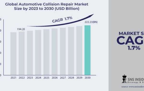 Automotive Collision Repair Market  Insights: Trends & Forecast 2031