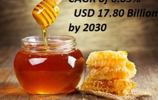 North America Honey Market by Competitor Analysis, Regional Portfolio, and Forecast 2030
