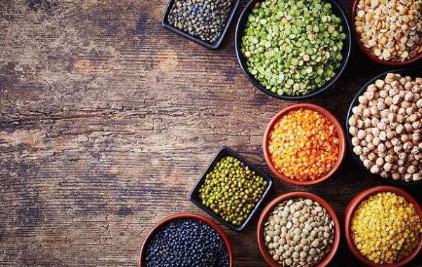 North America Pea Protein Ingredients Market Competitors, Growth Opportunities, and Forecast 2032