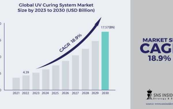 UV Curing System Market Size Customer Demands
