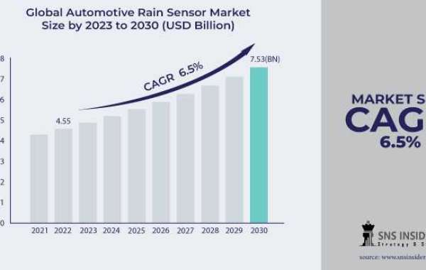 Automotive Rain Sensor Market Growth Driver: Consumer Preferences for Automated Driving Features