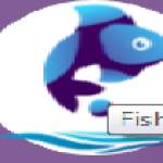 Fish Eye Advertising Profile Picture