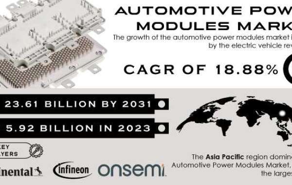 Automotive Power Modules Market: Industry Analysis & Forecast