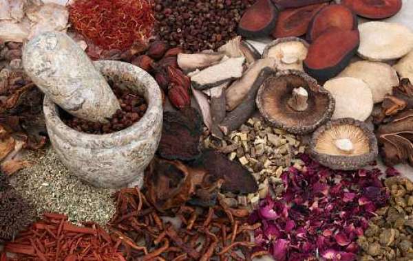 Asia-Pacific Medicinal Mushroom Market Trends, Category by Type, Top Companies, and Forecast 2032