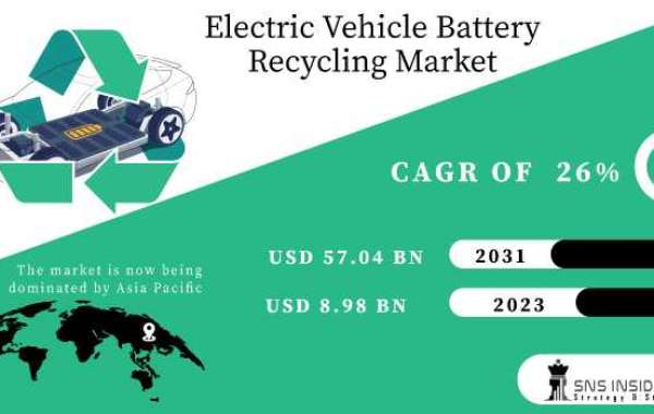 Electric Vehicle Battery Recycling Market Insights: Trends & Forecast 2031