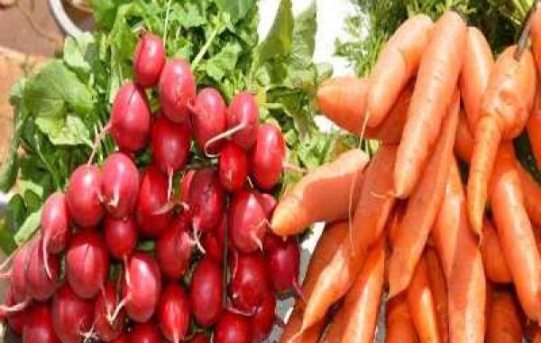 Who leading Vegetables Exporter in Bangladesh