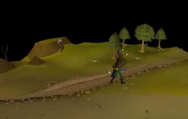 The Benefits of Collecting RS Items for Newcomers in RuneScape