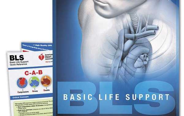 Comprehensive CPR and Advanced Life Support Training in Rancho San Diego