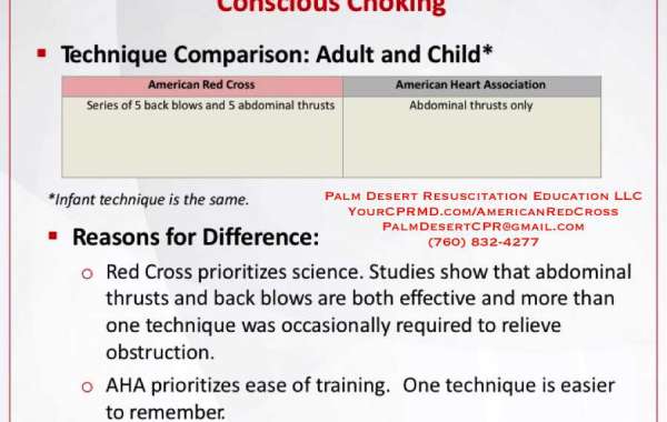 Comprehensive Life-Saving Training in Bostonia