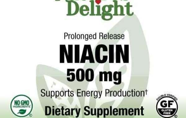 Niacin 500 mg PR – 100 Vegan Tabs