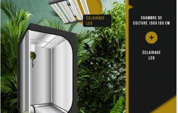 Introduction: La Lampe LED Horticole, L'outil Idéal pour Cultiver en Intérieur