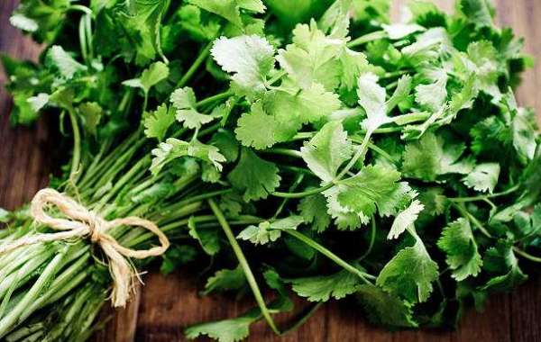 Coriander: More Than Just a Garnish!