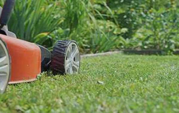 Reliable Lawn Mowing in Clovelly for a Pristine Yard