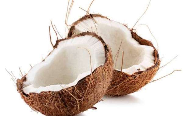 The Incredible Coconut: Nature’s Most Versatile Superfood