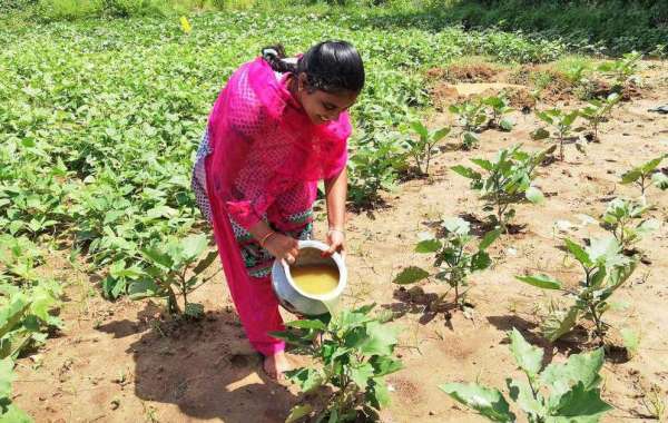 What is UP Agriculture and How to Use It: A Farmer-Friendly Guide