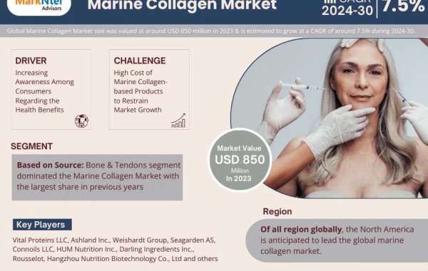 Marine Collagen Market Segment, Companies, Trend & Growth Analysis 2024-30