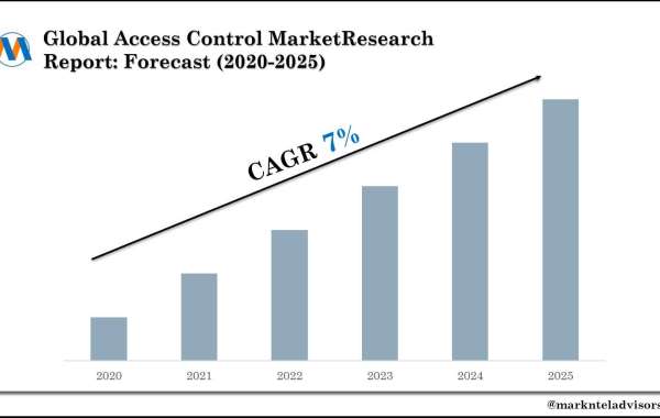 Access Control Market Competition and Strategic Player Analysis - 2025