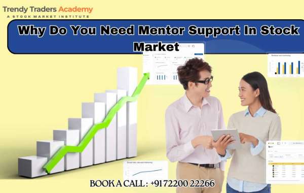 Why You Need Mentor Support in Stock Market