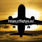 Flighys 01 Profile Picture