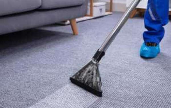 ﻿﻿The Truth About Carpet Cleaning and Mold Prevention